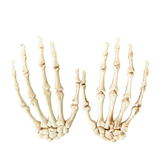 Lilgiuy Halloween Skeleton Hands Realistic Plastic Skeleton Hands for Halloween Party Decoration Terror Themed Scary Props
