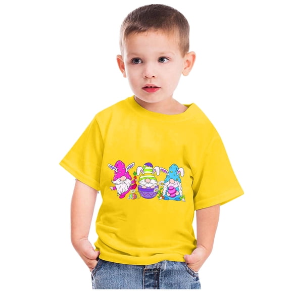 Lilgiuy Kids Easter Day Shirt Boys Girls Easter Gnome Carrot Eggs Graphic Tees Toddler Short Sleeve Crewneck Pullover T-Shirt Tops for Daily Wear