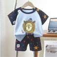 thumbnail image 1 of Lilgiuy Toddler Girl Boy Summer Clothes Casual Cartoon Print Short Sleeve T Shirts Shorts Cute Kids Outfits Set for Family Gatherings(B119,3 Years), 1 of 3