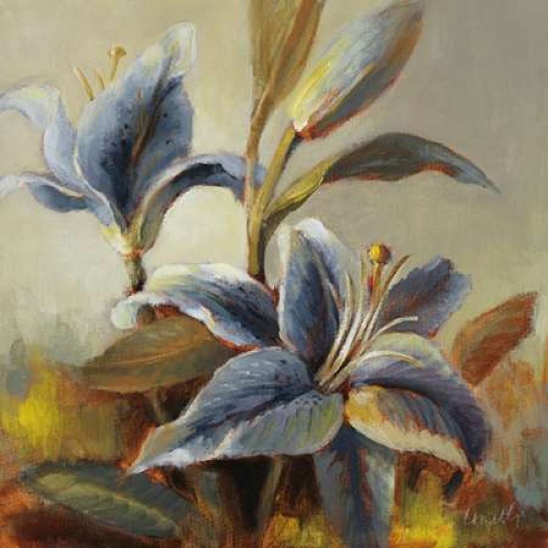 Lilies After the Rain Canvas Art - Lanie Loreth (24 x 24)