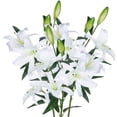 thumbnail image 1 of Lilies Artificial Flowers Bouquet 30” Long Stems, 3pcs Bundle (White), 1 of 11