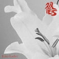 thumbnail image 1 of Echo Ladies Lilies (CD) Album, 1 of 1