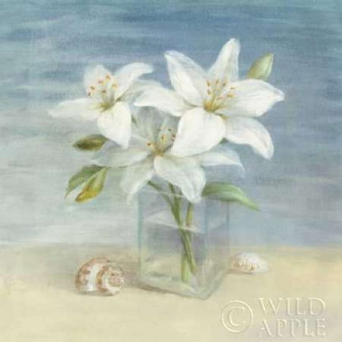 Lilies and Shells - Wag Canvas Art - Danhui Nai (24 x 24)