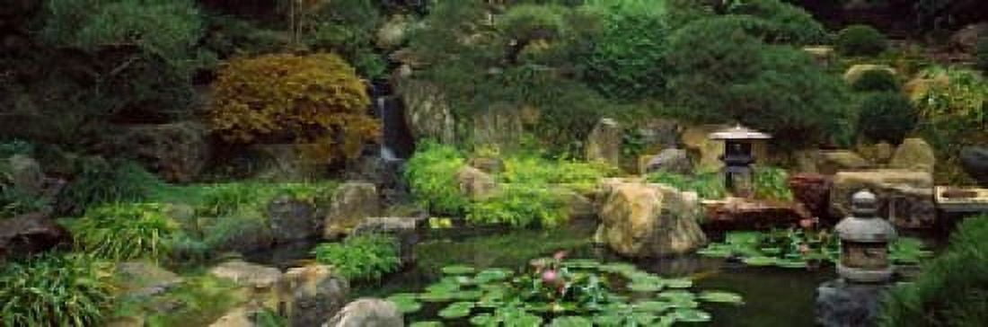 Lilies in a pond at Japanese Garden University of California Los Angeles California USA Canvas Art - Panoramic Images (18 x 6)