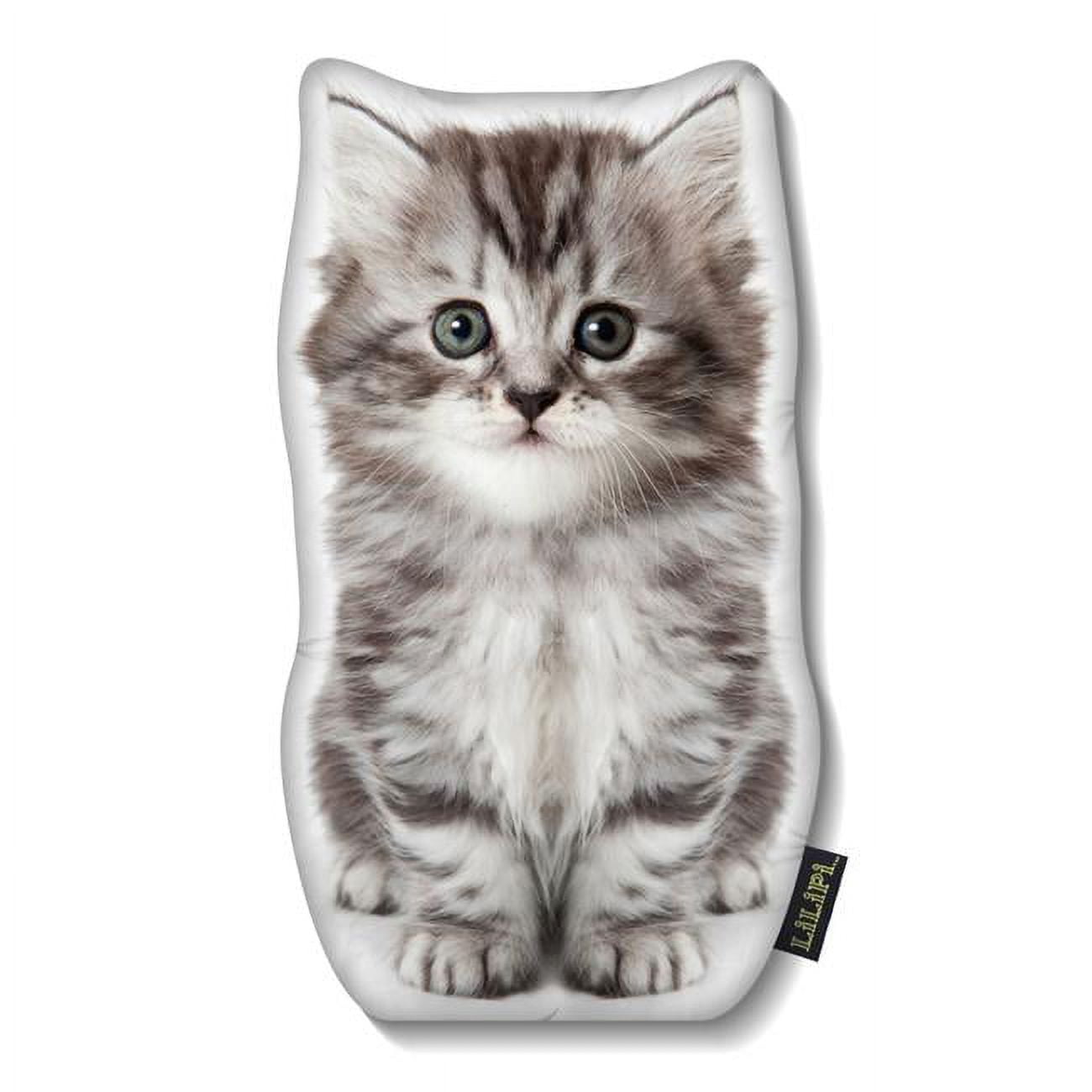 Lilipi brand reviews hot sale