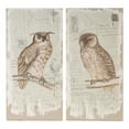 thumbnail image 1 of Lilith Owl Prints- Set of 2 Brown - Engineered Wood, 1 of 3