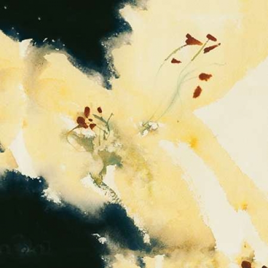 Lilium Candidum Canvas Art - David Ross (24 x 24)