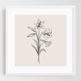 thumbnail image 1 of Lilium Floral Bouquet - Illustration Line Art Floral Botanical Black and White Minimalist Flowers Nature White Framed Wall Art Print 8 x 8 inches, 1 of 3