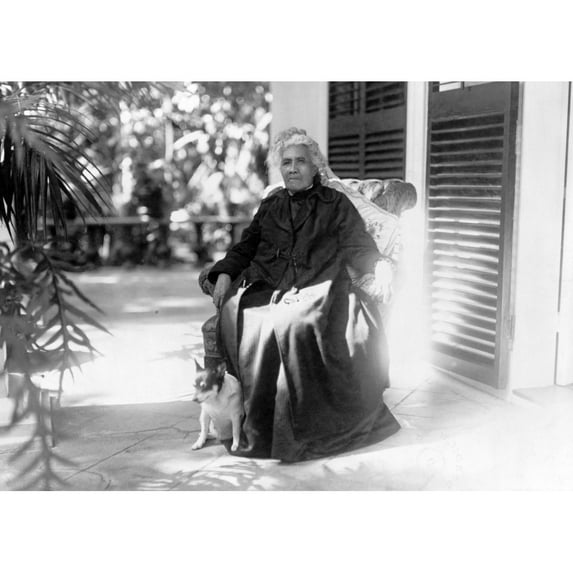 Liliuokalani History (24 x 18)