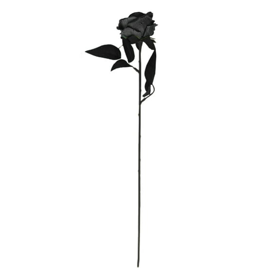 Lilixerw 12 PCS Artificial Black Roses Flowers,Fake Rose in Bulk with Long Stem,Roses Bouquet for Halloween Decoration,Party Supplies