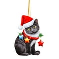 thumbnail image 1 of Lilixerw Christmas Cat Ornament,2D Acrylic Funny Cats Hanging Decor for Xmas Tree,Home Party Festive Decorations,Holiday Family Gift, 1 of 3