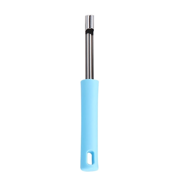 Lilixerw 0.39 inch Multi Function Blue Fruit Corer,Stainless Steel Pear Corer,for Home Kitchen,Pear,Cherry,Red Date