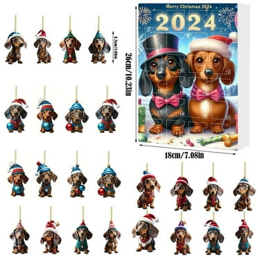 Lilixerw Christmas Advent Calendar 2024,24 Days Countdown Surprise Gift Box for Teens & Kids