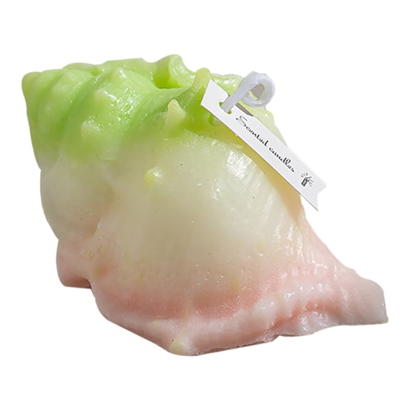 Lilixerw Conch Aromatherapy Candle,Natural Scented Candles,Decorative Candles,Creative Gift