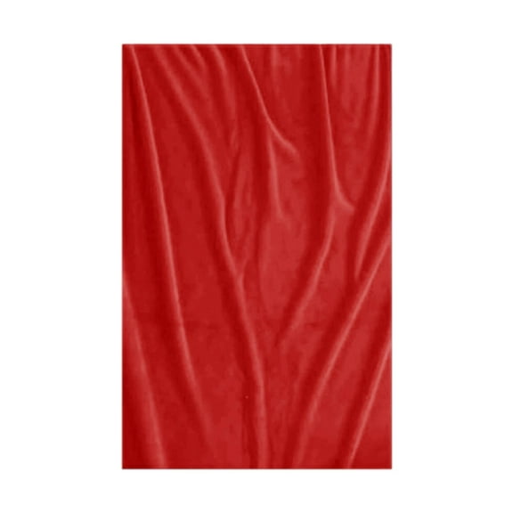 Lilixerw Flannel Blanket Large Size Blankets for Bed,Plush Blanket 39.3 x 27.5 inch,Soft Warm Lightweight Throw Blanket All Seasons Suitable