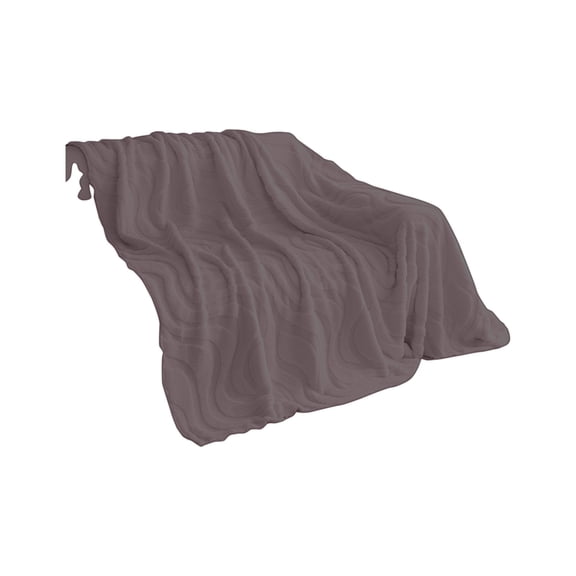 Lilixerw Sofa Cover Couch Cover for Dogs Sofa Cover for Sectional Loveseat Cover Pets Protector for Cushion Couch Washable Multi-Use Blanket,70.8 x 35.4 inch