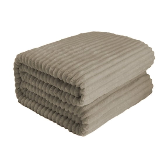Lilixerw Thick Plush Flannel Blanket,Twin Size Warm Blanket for all Season,Soft,Fluffy,Comfortable,Perfect for Bed,Oversized Throw for Couch,Sofa,27.5 x 39.3 inch