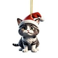 thumbnail image 1 of Lilixerw Cute Cat Christmas Ornament with Santa Hat,Acrylic Cat Hanging Ornament for Car & Christmas Tree,Christmas Decorations Indoor, 1 of 3