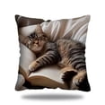 thumbnail image 1 of Lilixerw Cute Sleeping Cats Printed Pillow Cover,18 x 18 Inch Soft Short Pile Polyester Cushion Case for Sofa Living Room Bed,Cute Cat Pattern Pillowcase,Multicolor, 1 of 6
