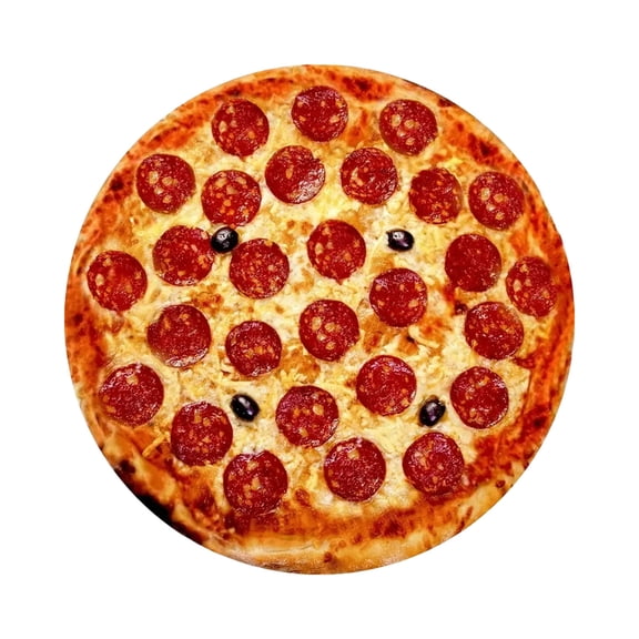 Lilixerw Funny Pizza Blanket for Adults,Soft Microfleece Novelty Throw Blanket,Realistic Food Print for Nap Couch Movie Night,Home Gifts,35x35 Inch