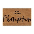 thumbnail image 1 of Lilixerw Halloween Printed Doormat,Funny Welcome Mat,Non-Slip Door Mat for Living Room,Absorbent Bathroom Kitchen Entryway Mat, 1 of 2