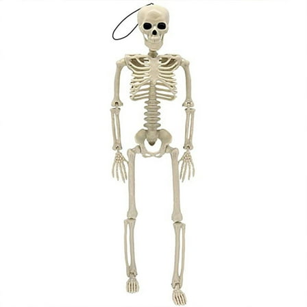 Lilixerw Halloween Skeleton Decoration,Full Body Posable Skeleton for Halloween Prop Decor,Garden Outdoor House Decorations