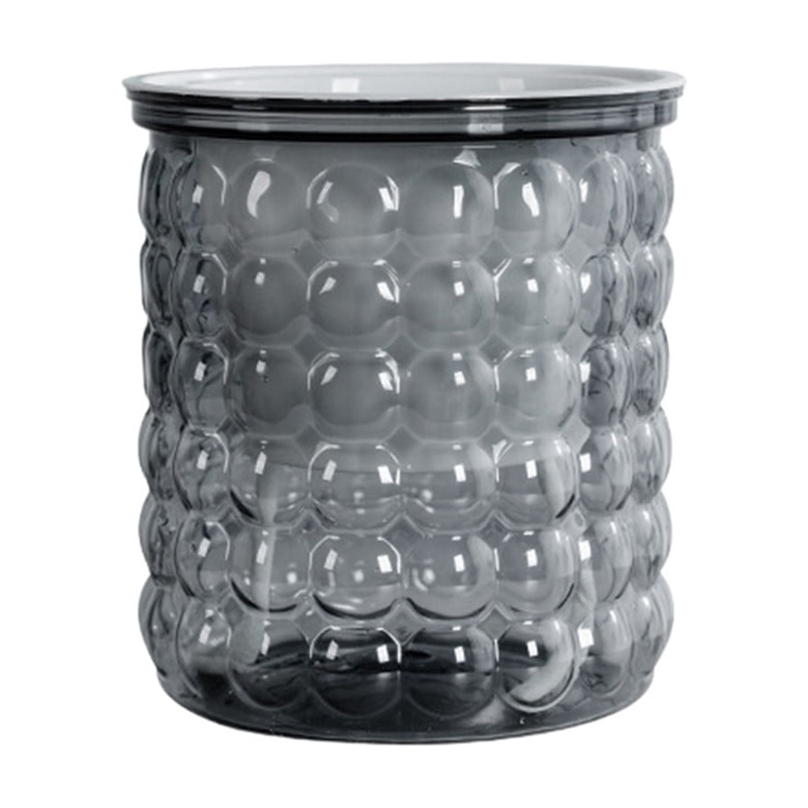 Lilixerw Self-Watering Planter with Water Level Indicator,Transparent ...