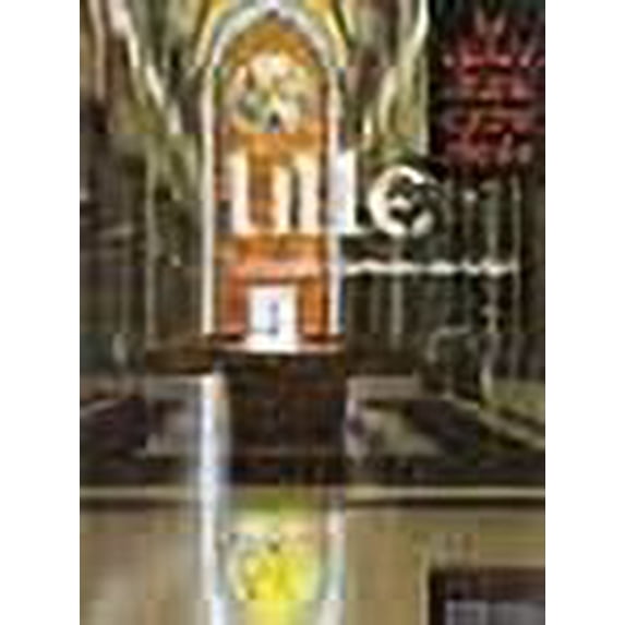 Lille - La Grâce d'une Cathédrale