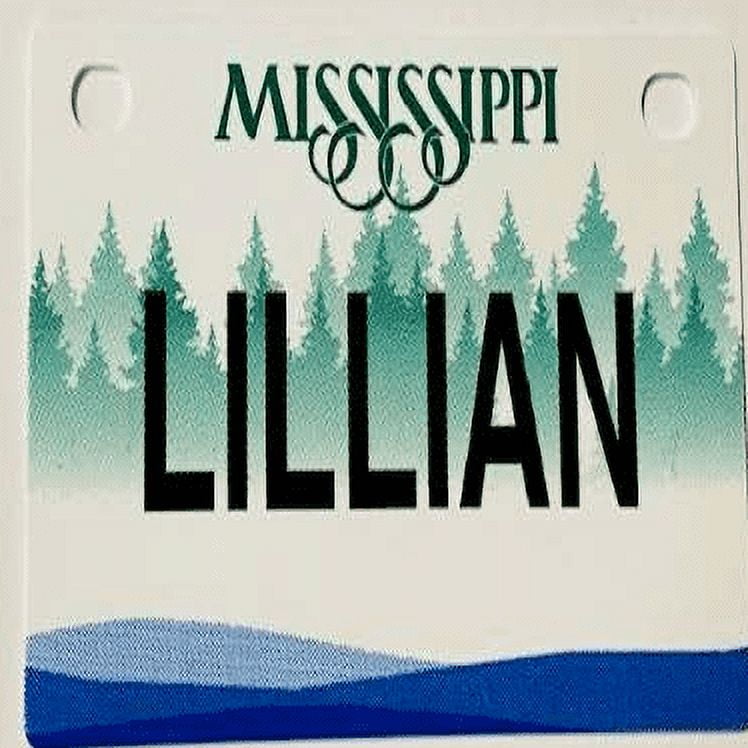 Lillian Mini Bike Plate Add On Accessory
