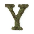 thumbnail image 1 of Lillian Rose Large (15") Moss Monogram Letter Y, Green, 1 of 4