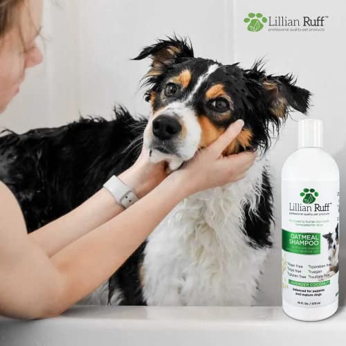 Photo inspiration: Lillian Ruff Calming Oatmeal Pet Shampoo For Dry Skin Itch Photo Inspiration