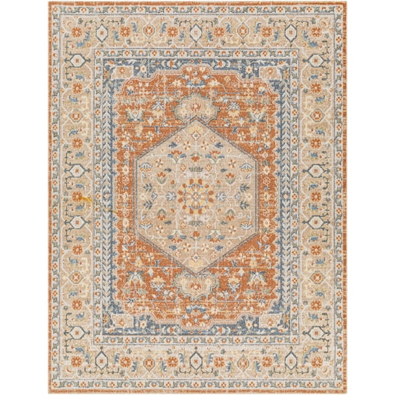 Lillian SkyBlue/Light brown 5' x 8' Machine Washable Area Rug
