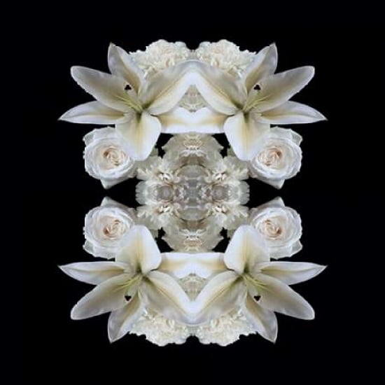 Lillies of the Field Canvas Art - Alyson Fennell (24 x 24)