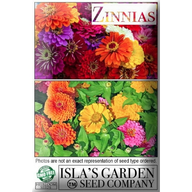 "Lilliput Zinnia Mix" Flower Seeds for Planting, 500+ Seeds Per Packet
