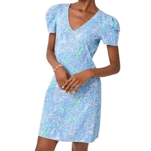 Lilly Pulitzer Aleece T-Shirt Dress Blue Peri The Turtle Package Medium