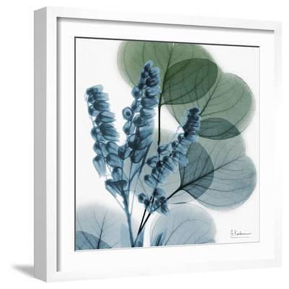 Lilly of Eucalyptus, Botanical Framed Art Print Wall Art by Albert Koetsier Sold by Art.Com