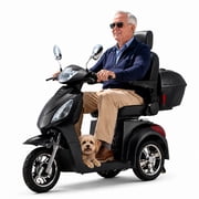 LiltJan 3-Wheel Electric Mobility Scooter for Seniors, 500lb Heavy Duty Capacity Power Scooter, 800W Motorized Medical Scooter with 31-Mile Long Battery Life