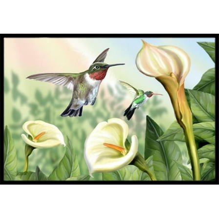 Lily And The Hummingbirds Indoor & Outdoor Mat- 18 x 27 in.