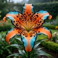 thumbnail image 1 of Lily Bulbs,Low Maintenance - Easy Grow - Ideal For Beds Borders, Plant Pots & Planters, 1 of 5