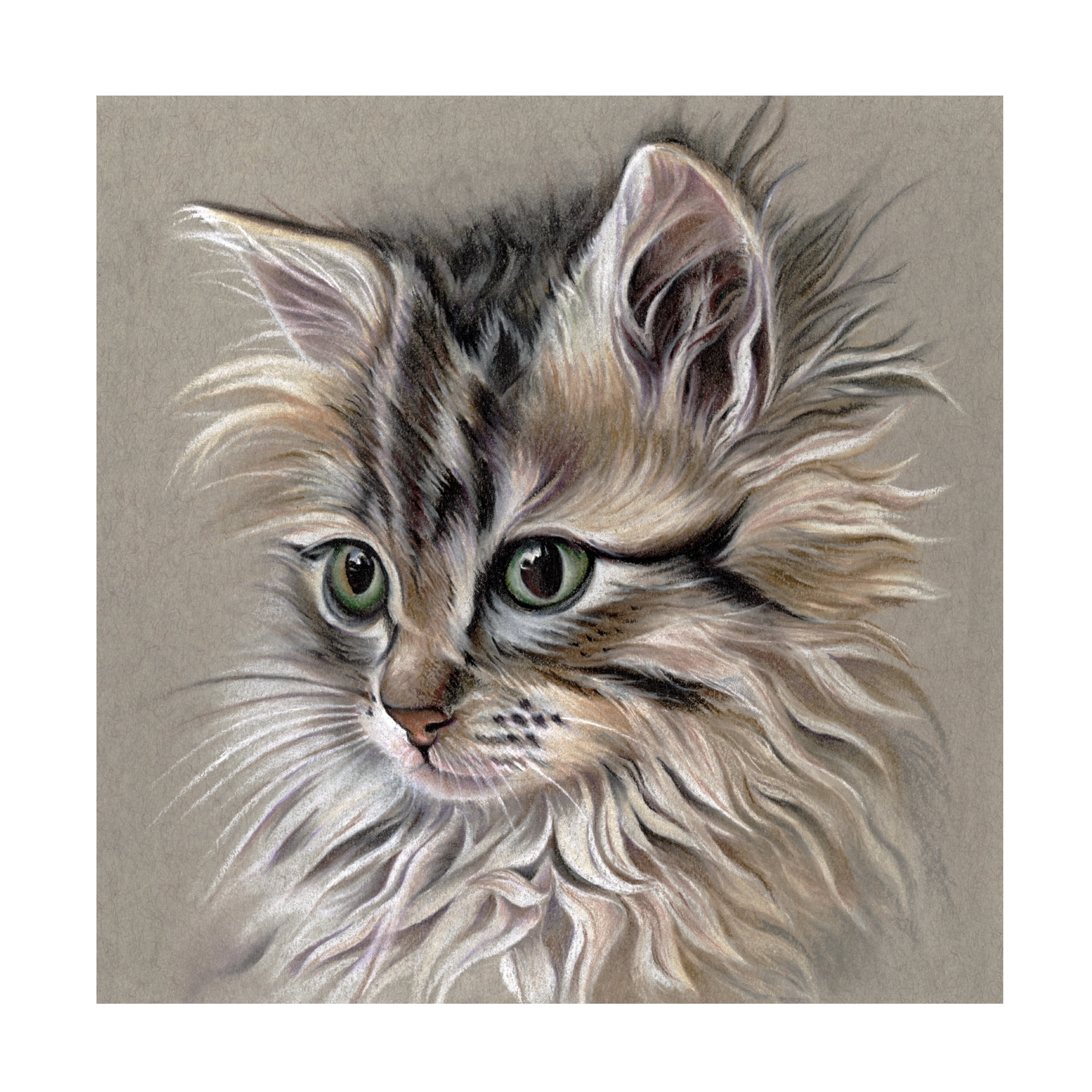 Funny little kitten. Cat sitting. Looks right. Hand drawn sketch. Vector  illustration isolated on white background. Realistic. Stock Vector | Adobe  Stock, image size:2400x2400