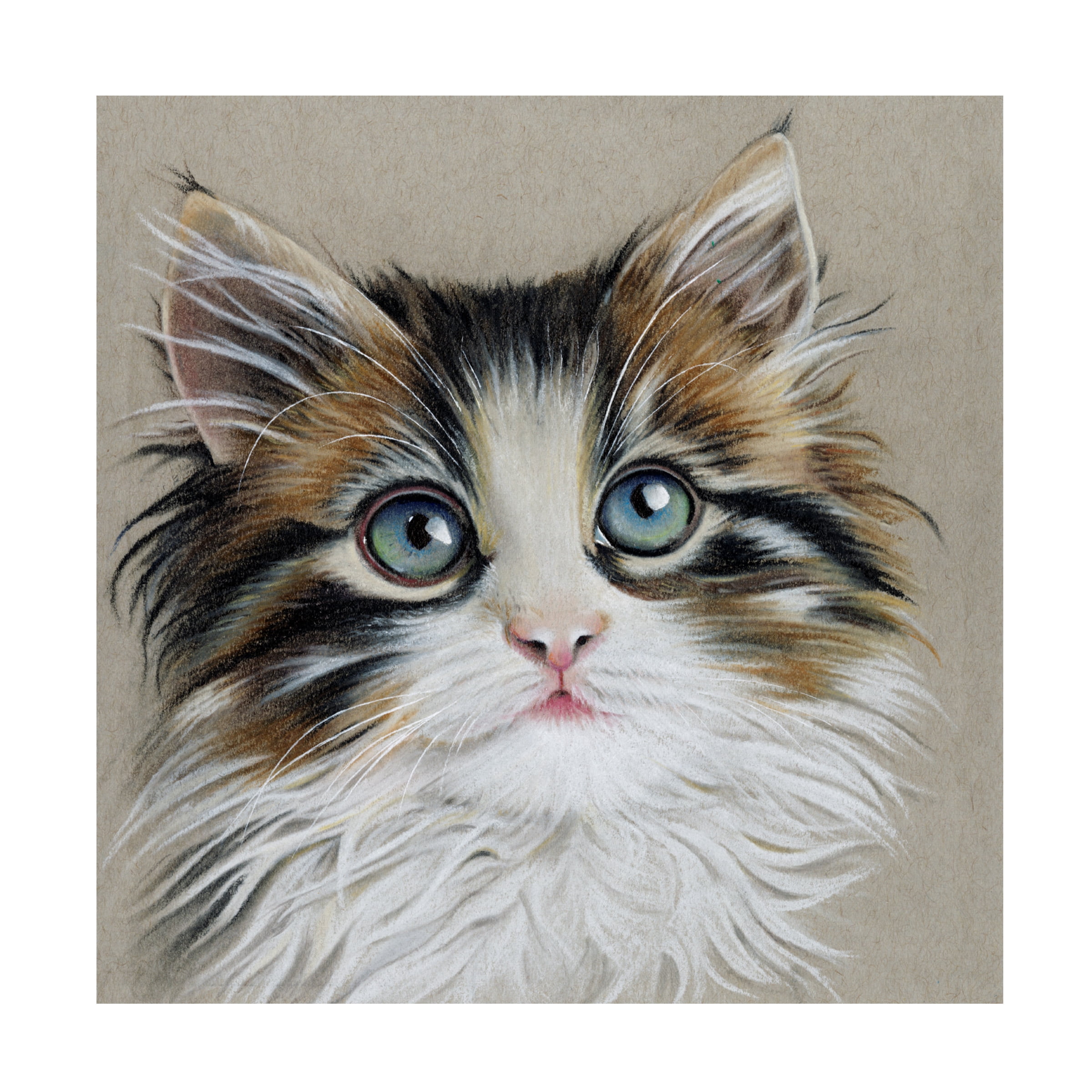 Lily Liama 'Kitten Portrait II' Canvas Art