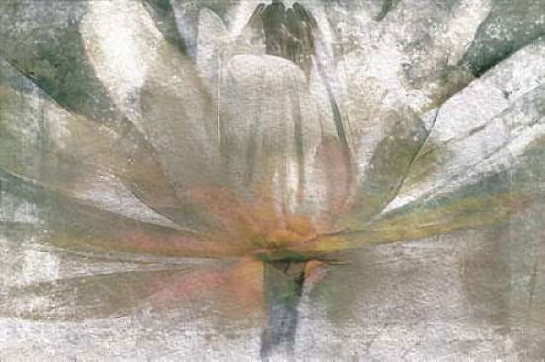 Lily Light Canvas Art - Mike Calascibetta (24 x 36)