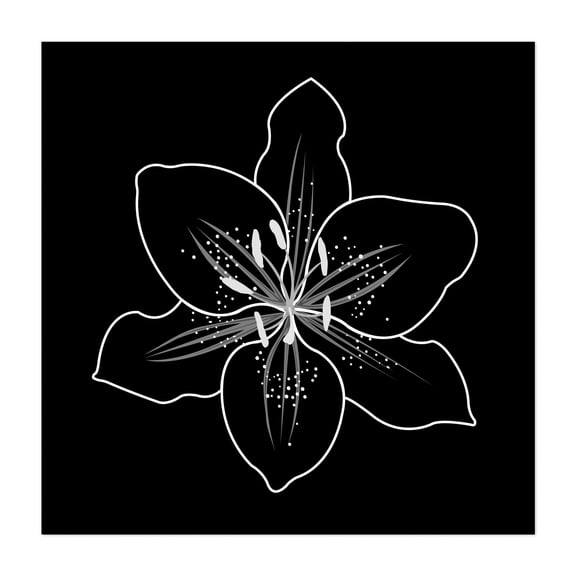 Lily Outline Monochrome - Digital Art Floral Black and White Minimalist Line Art Nature Botanical Abstract Unframed Wall Art Print 36 x 36 inches