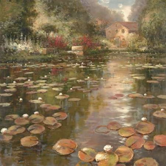 Lily Pond Canvas Art - K Adams (24 x 24)