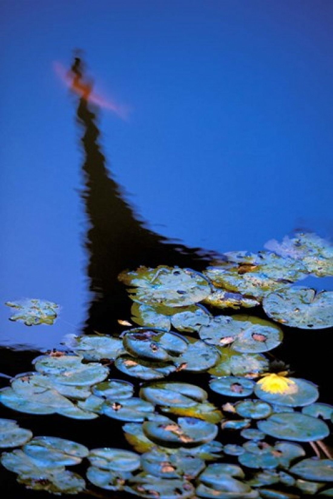 Lily Pond and Temple Reflection in Blue China Canvas Art - Walter Bibikow DanitaDelimont (24 x 35)