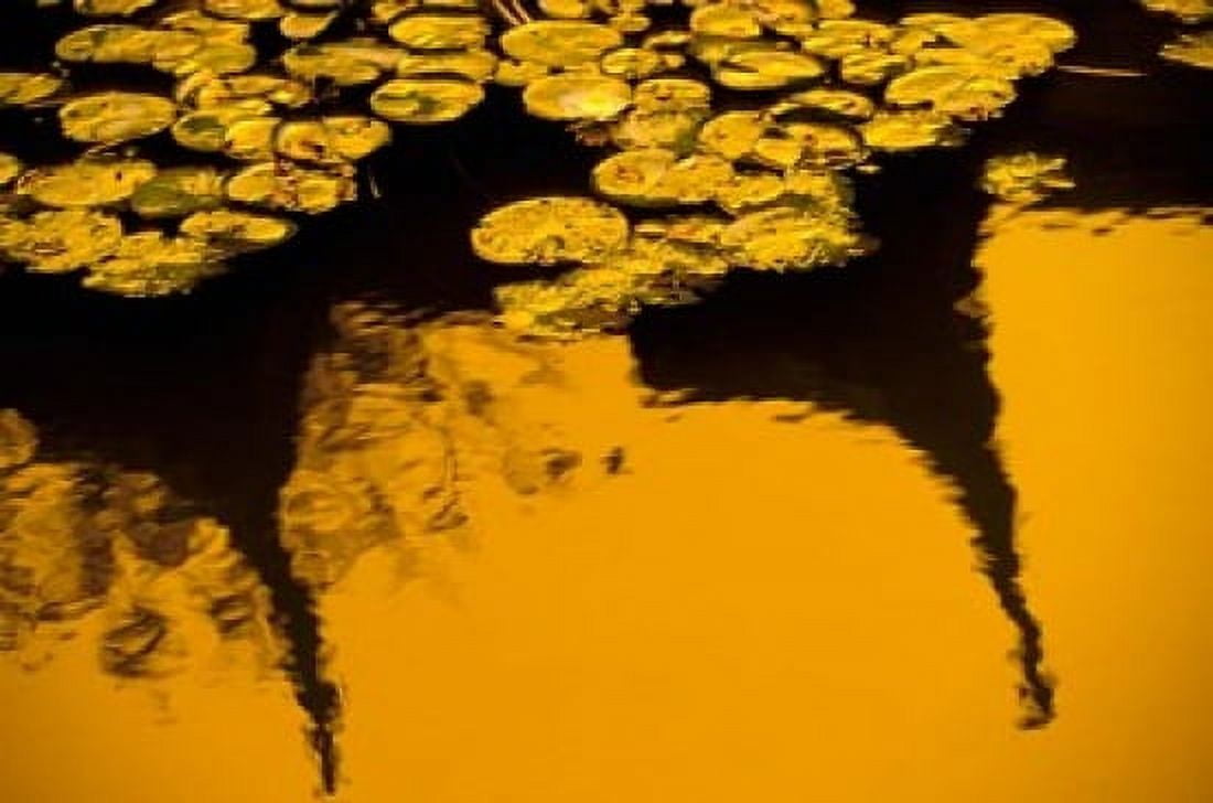Lily Pond and Temple Reflection in Yellow China Canvas Art - Walter Bibikow DanitaDelimont (35 x 24)