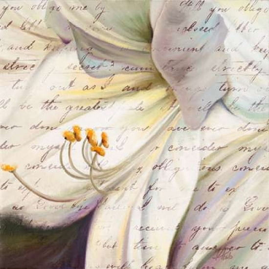 Lily Script I Canvas Art - Patricia Pinto (24 x 24)