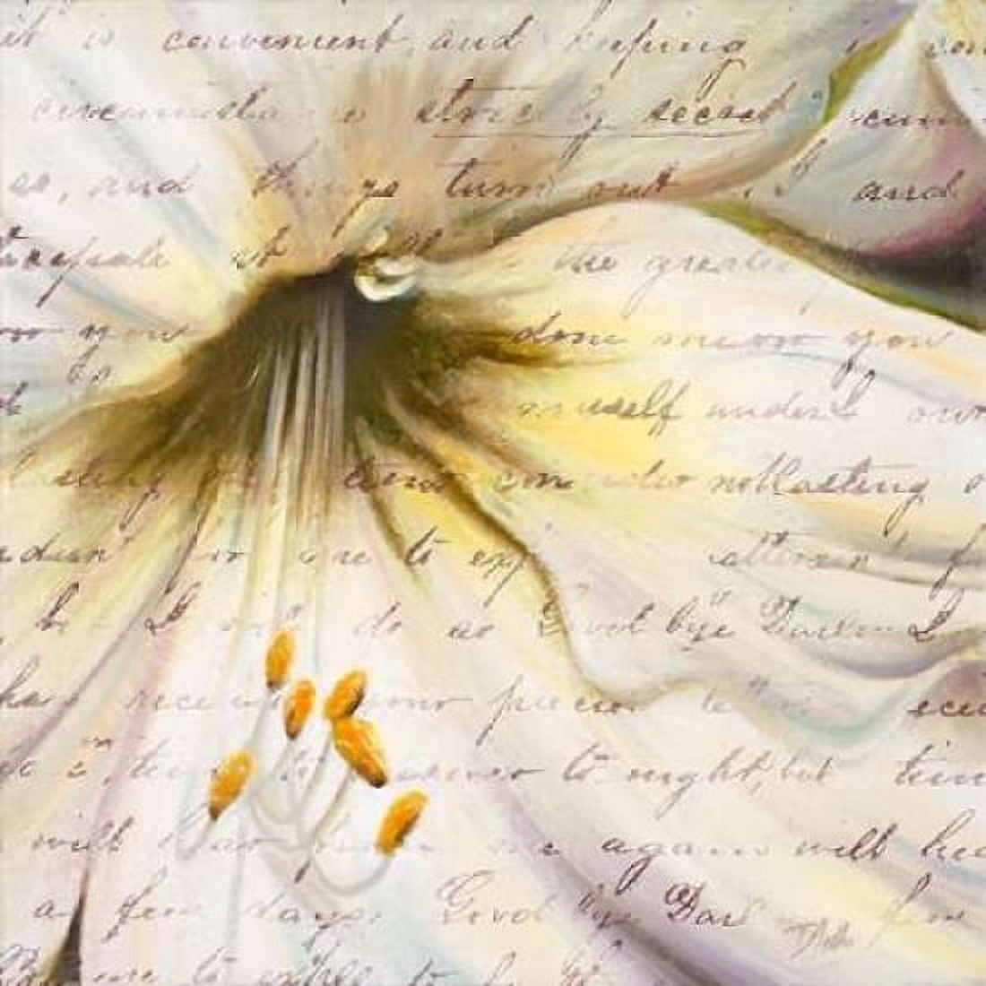 Lily Script II Canvas Art - Patricia Pinto (24 x 24)