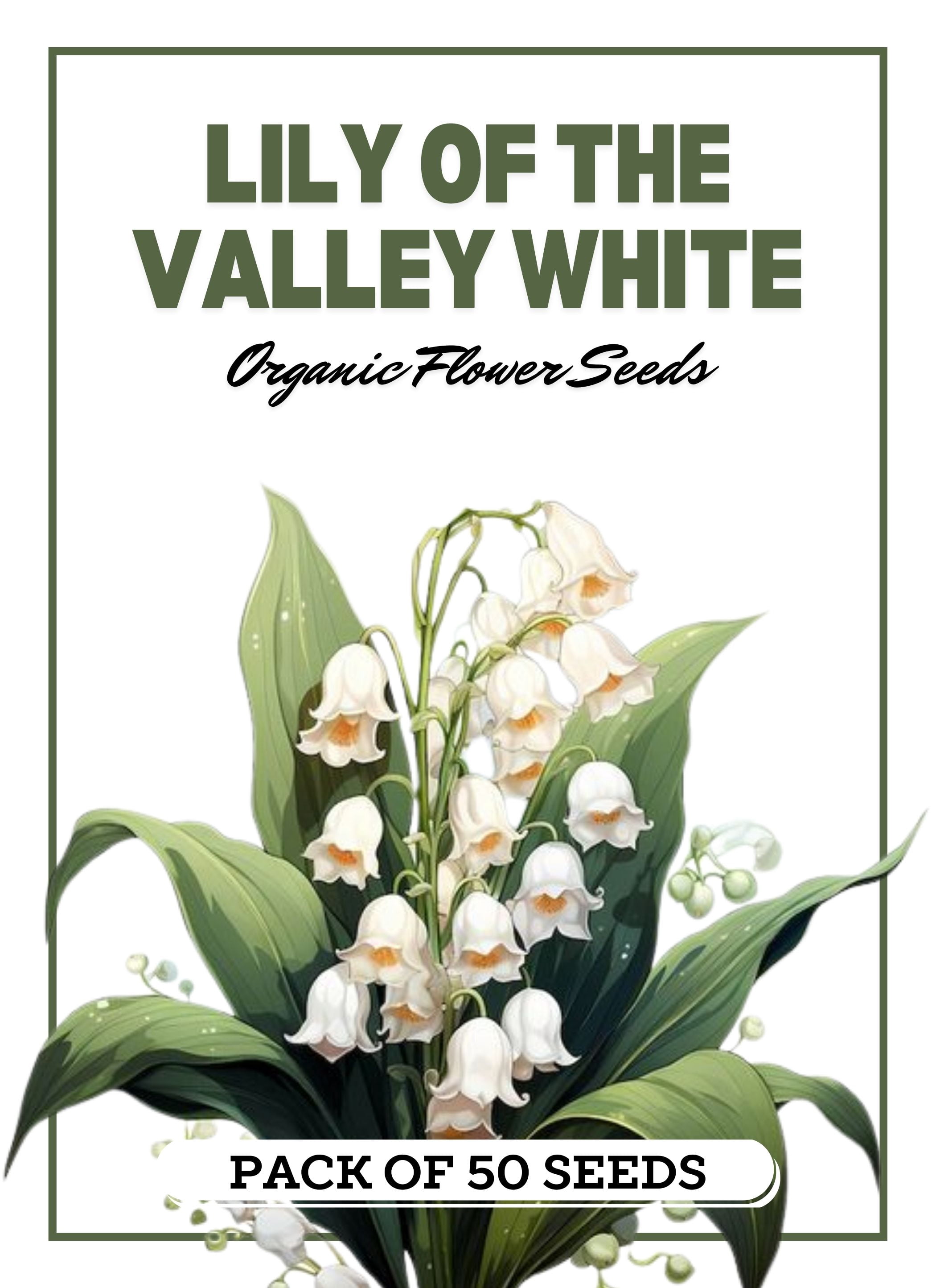 Lily of The Valley White Flower (50 Seeds) NonGMO Heirloom Bulk