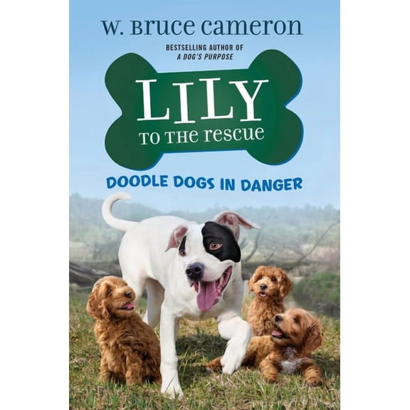Lily to the Rescue! Lily to the Rescue: Doodle Dogs in Danger, Book 9, (Paperback)
